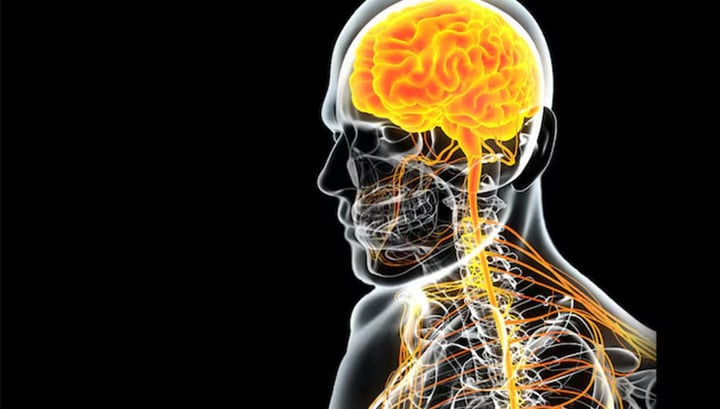 CGT Is In Its Infancy For CNS Disorders, But Technical Strides Being Made Image