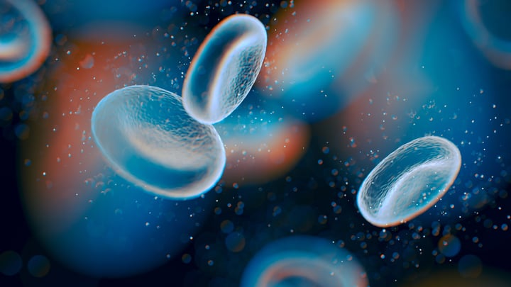 Exploring the Intricacies of the Immune System: A Practical Guide to Immune Monitoring Across Therapeutic Interventions Image