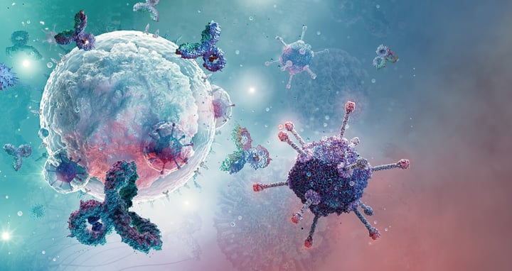 Immune Cell Profiling in Translational Research Image