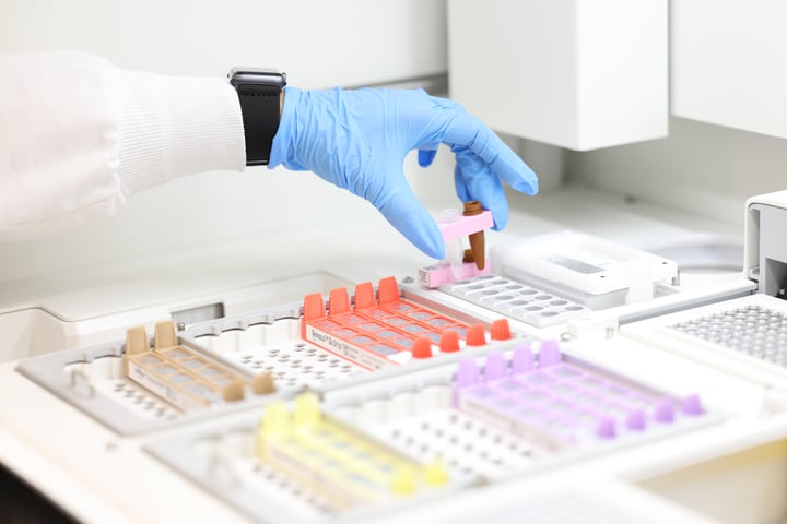 Quantitative Multiplex Immunofluorescence : A Powerful Tool for Oncology Therapeutic Development Image