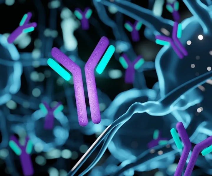 The ADC Pendulum: Understanding ADC Withdrawals to build better therapies Image