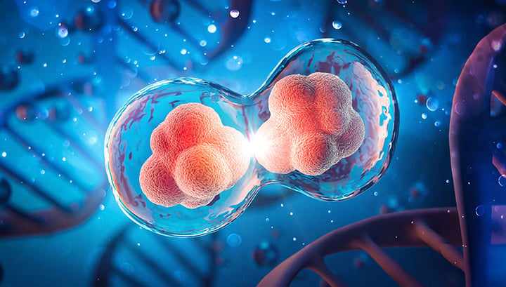 The Role of Pharmaceutical Innovation in Clinical Practice Guidelines for Chronic Diseases Image